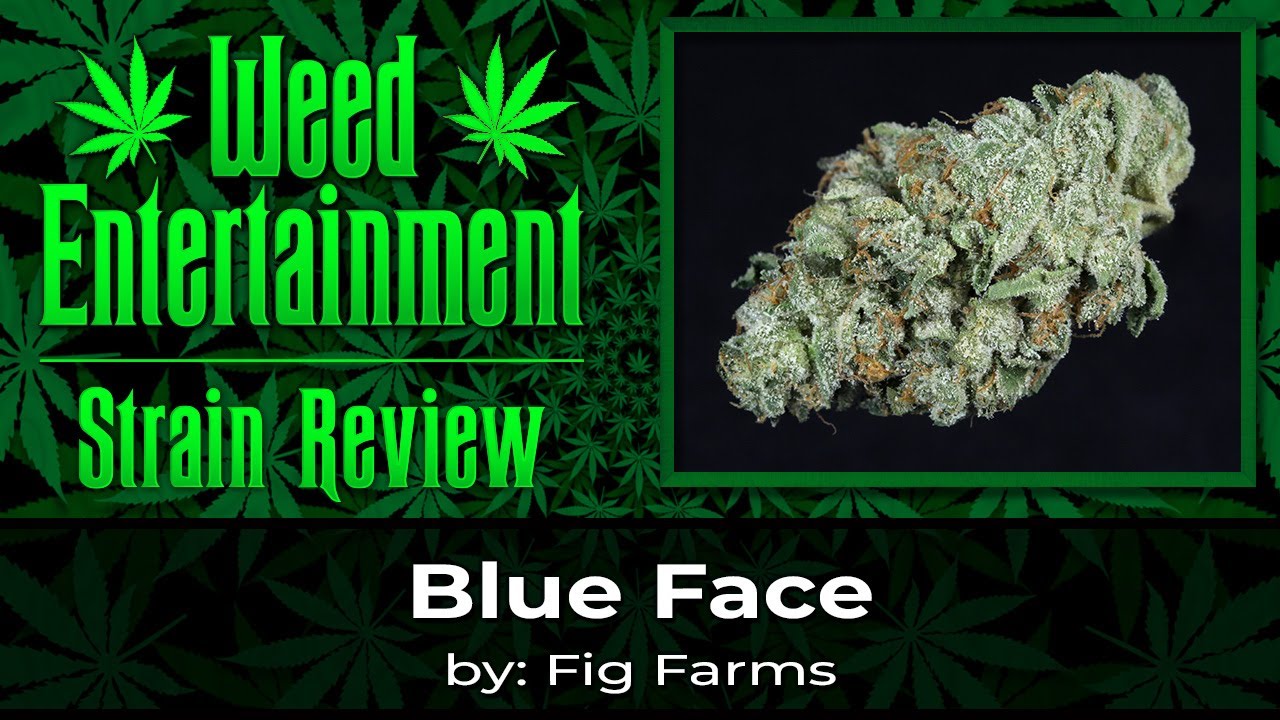 Blue Face - by Fig Farms - October 2023