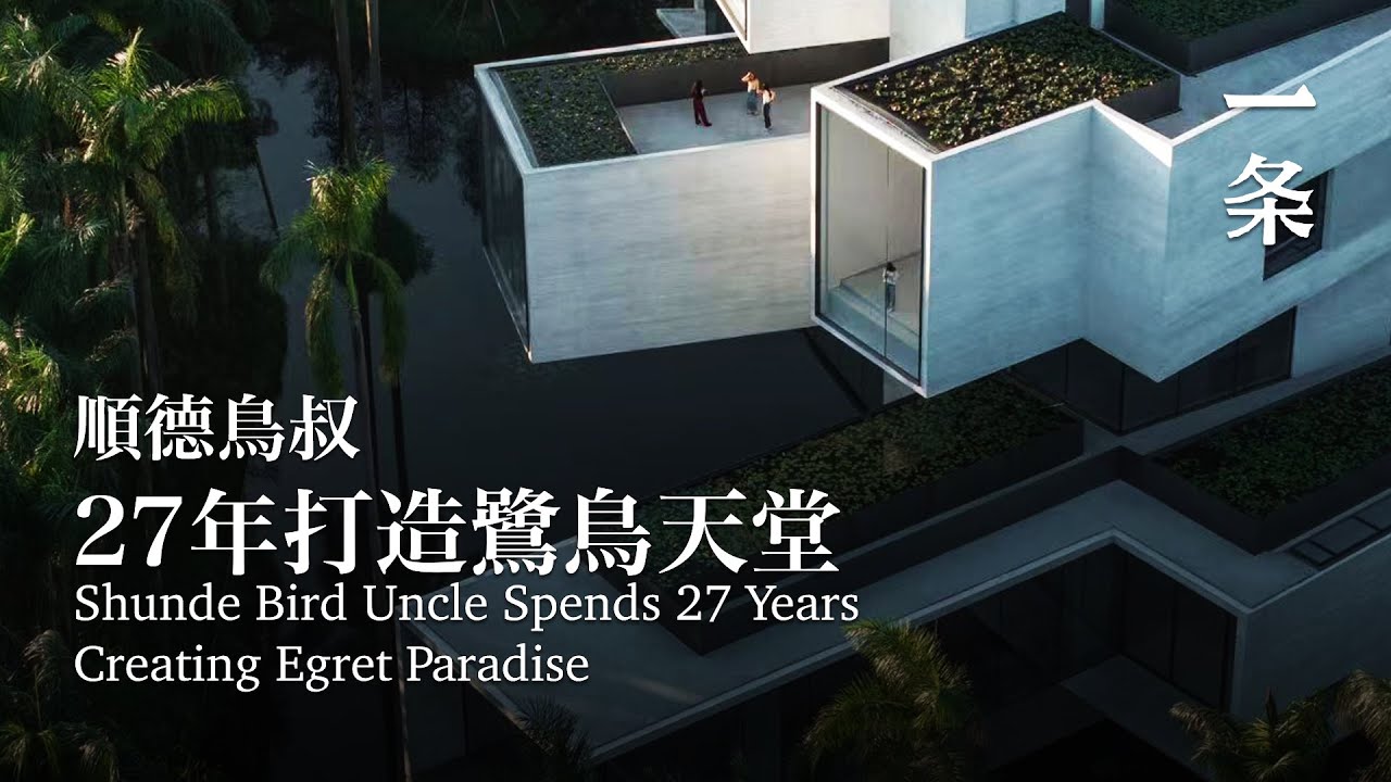 廣東順德，56歲叔叔獨居森林，和鳥生活了27年 In Shunde, Guangdong, 56-Year-Old Uncle Lived with Birds for 27 Years