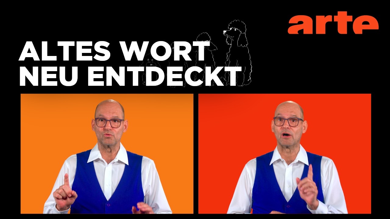 Woher kommt das Wort 