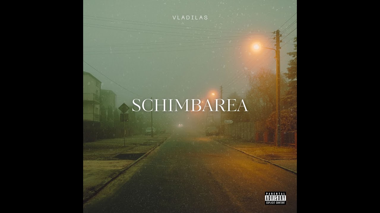 Vladilas - SCHIMBAREA (Official Audio)