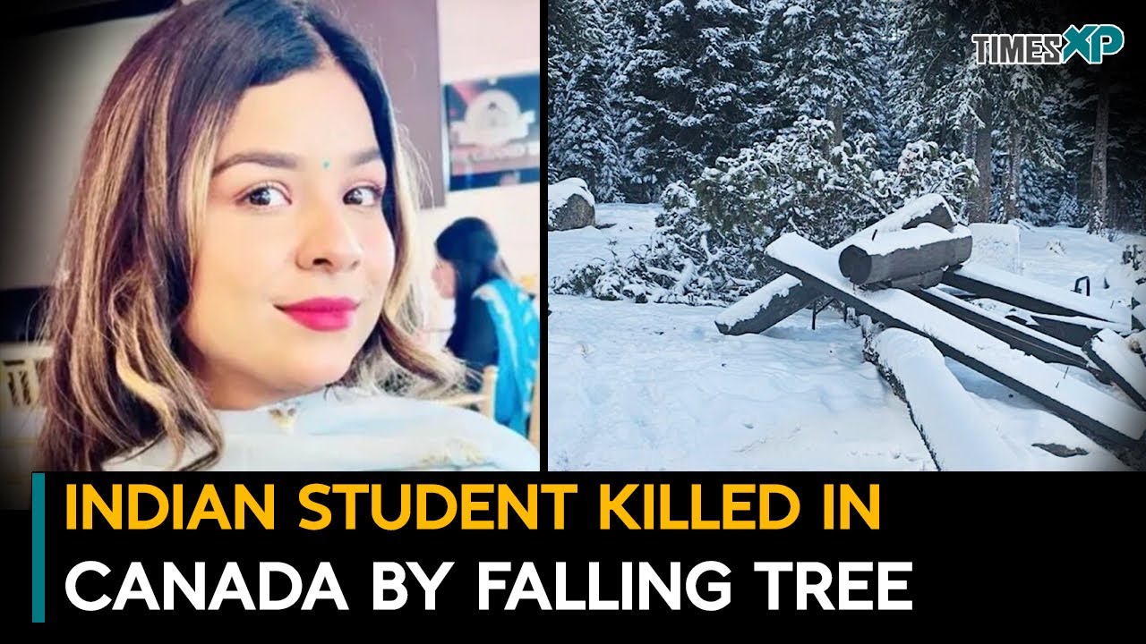 Indian Student in Canada Killed by Falling Tree in British Columbia