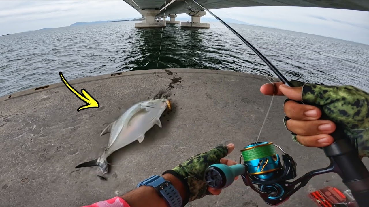 Hampir Tewas Kerana Ikan JAMBATAN KEDUA Pulau Pinang!!