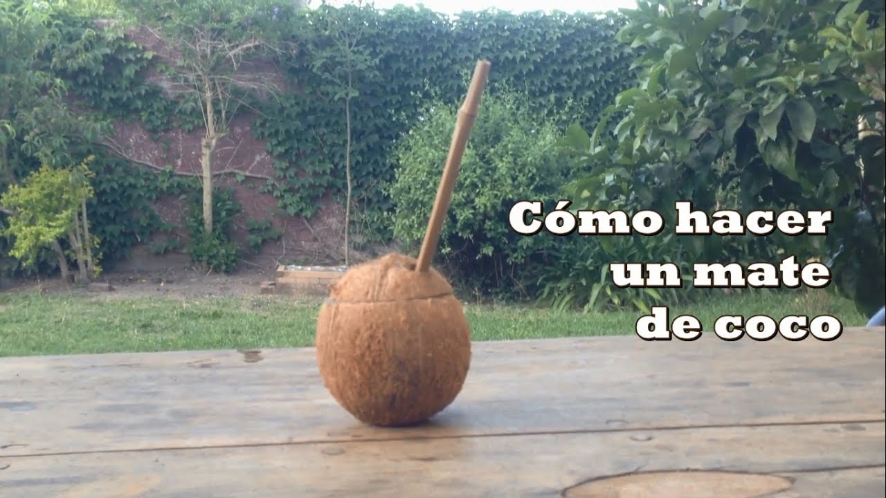 Cómo hacer un Mate con un coco pequeño