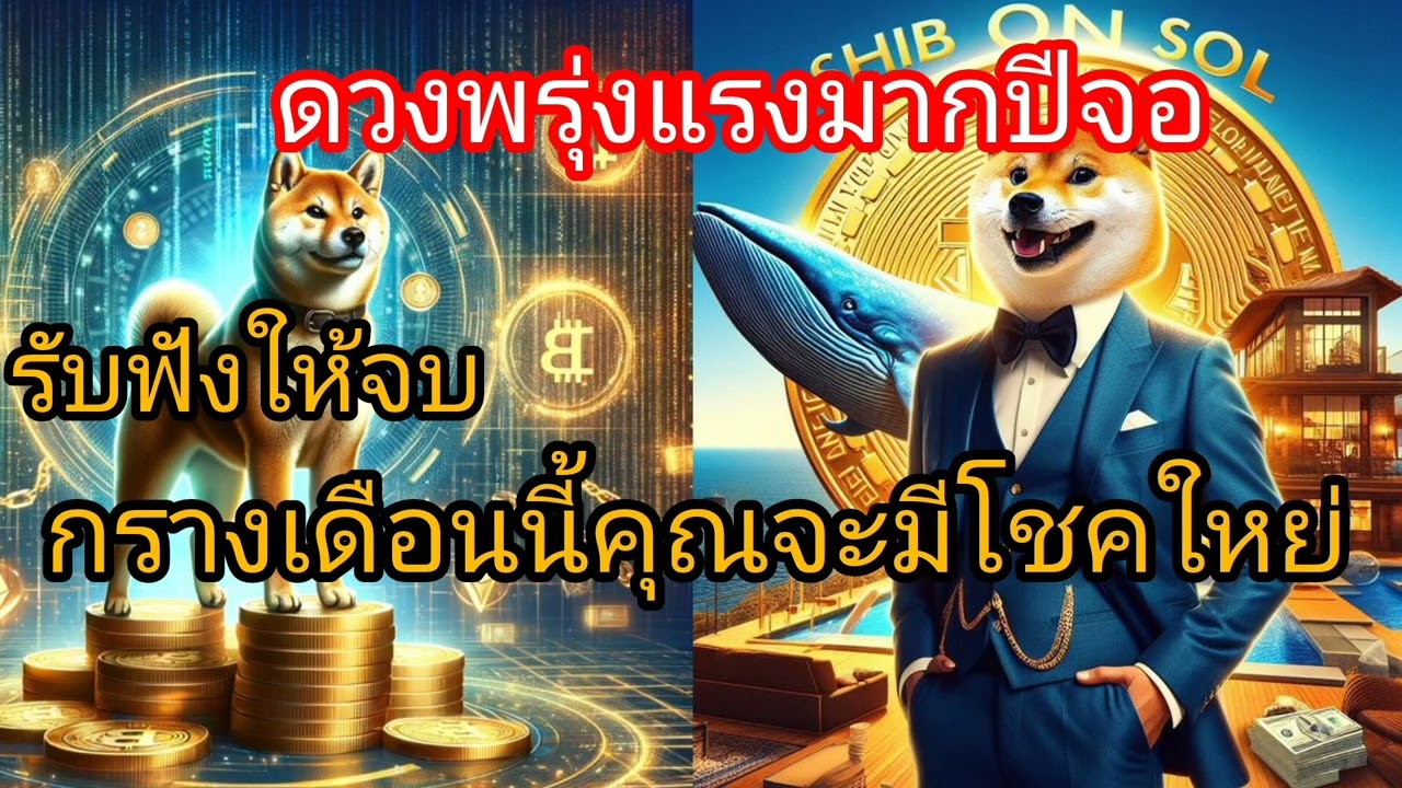 ดวงสตาคนที่เกีดปีจอ คนดวงดี ราศีไม่ตก