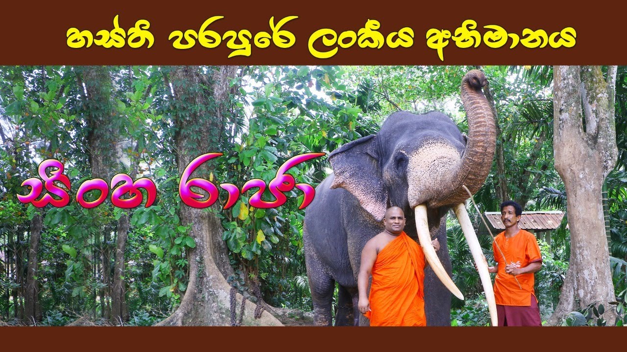 Sinha Raja කොටි ගහන කැලේ ඉදලා හමුවුනු සිංහරාජා දළදා කරඩුව වඩම්මවයි