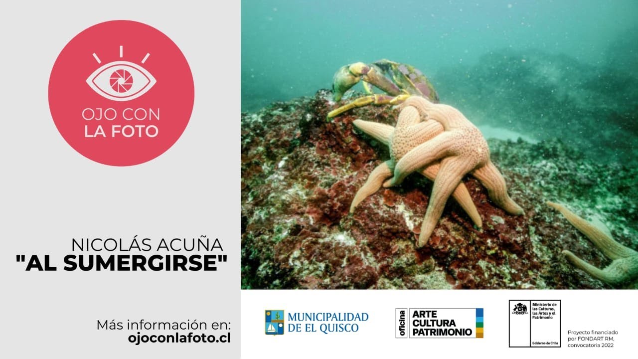 El Ojo Fotográfico: Nicolás Acuña // Fotografía Submarina