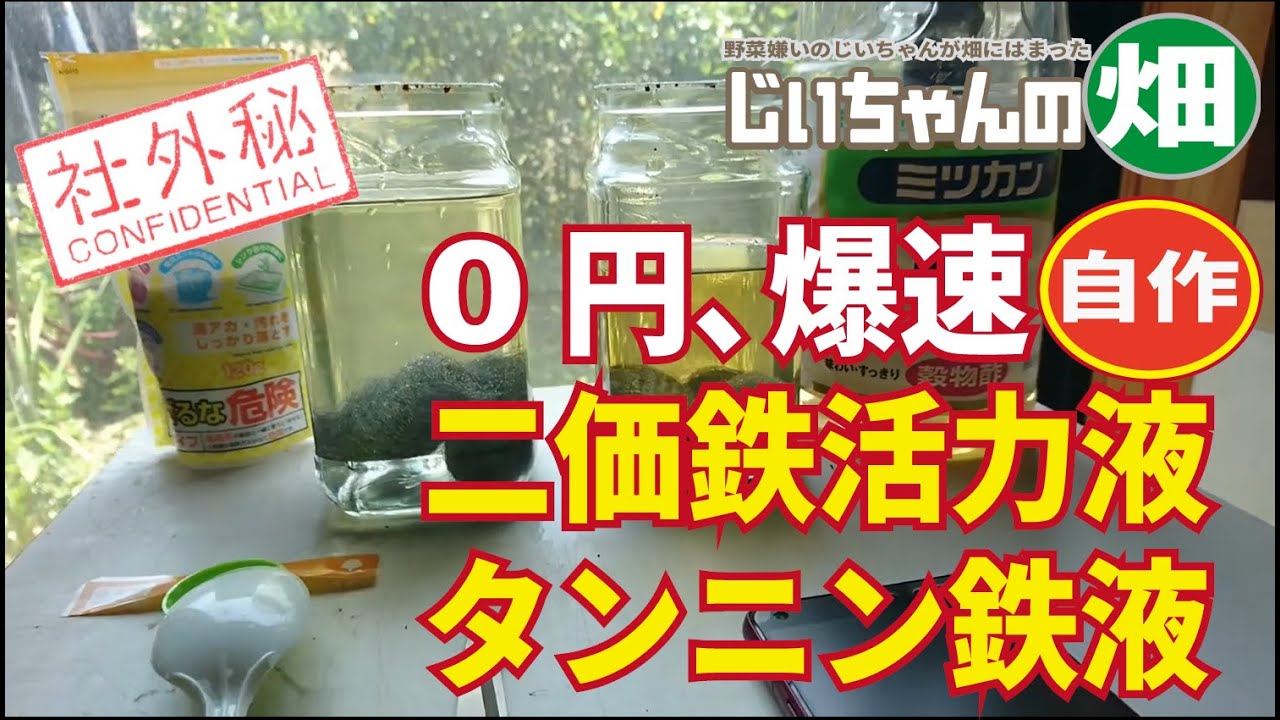 タンニン鉄と二価鉄液の作り方。野菜や花がすぐに吸収できる二価鉄の手作り活力液は10分で、0円で自作できます！
