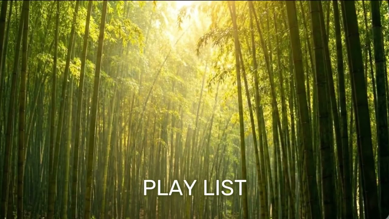 [play list] 빗소리가 머무는 대나무 숲 | 복잡한 마음을 씻어내는 고요한 선율 (Nature ASMR & Piano)