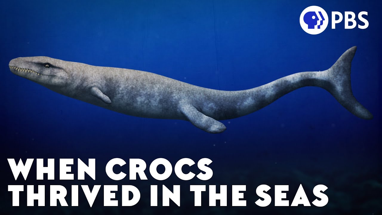 When Crocs Thrived in the Seas