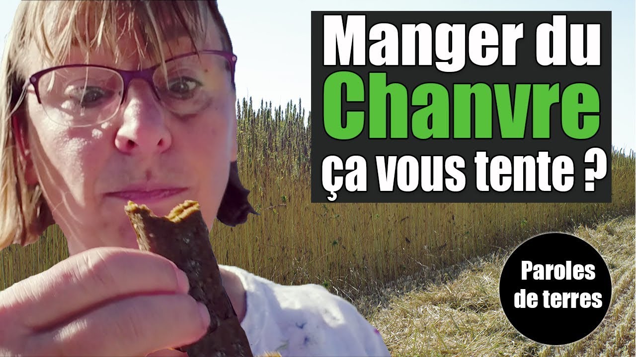 Chanvre & Alimentation : huile, farine, graines... Paroles de Terres - Saison 3 #15