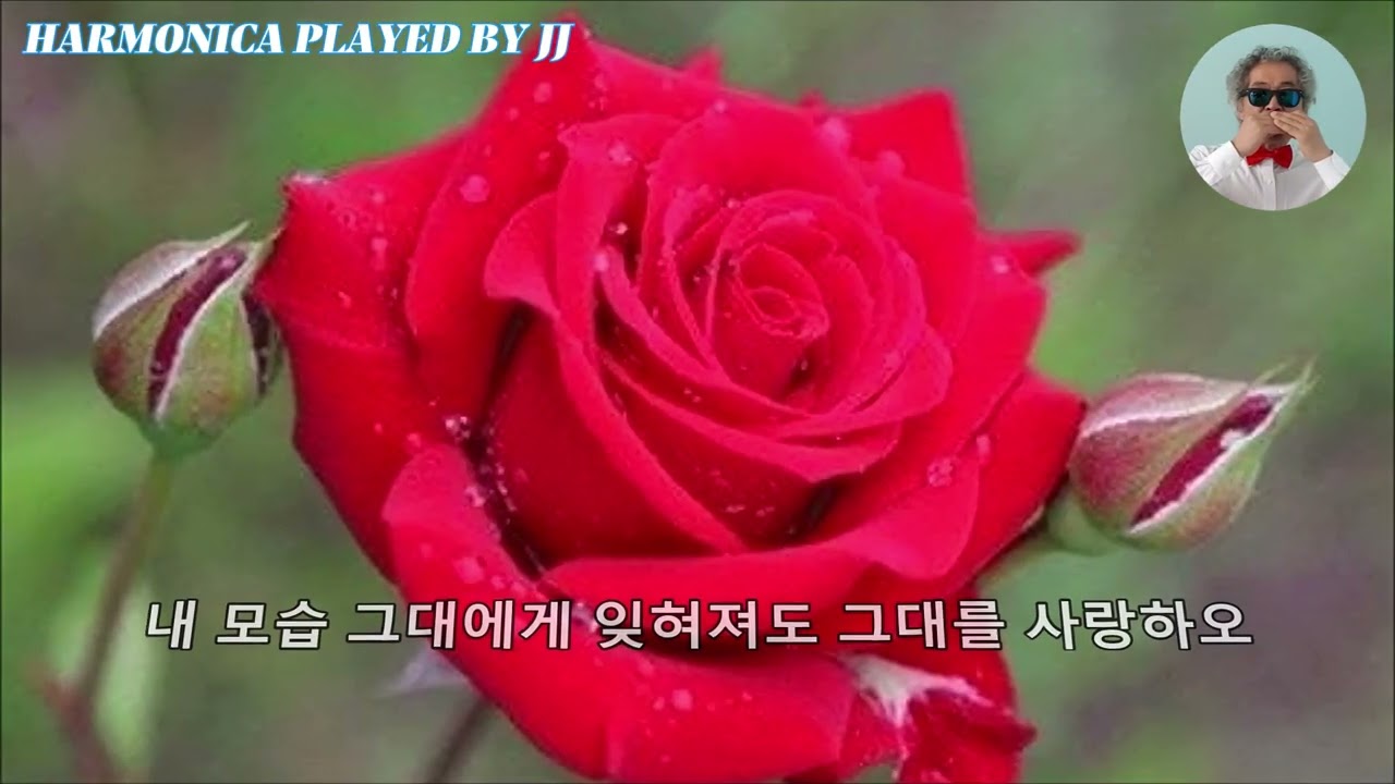 사랑하는그대에게 C키 트레몰로 하모니카 연주