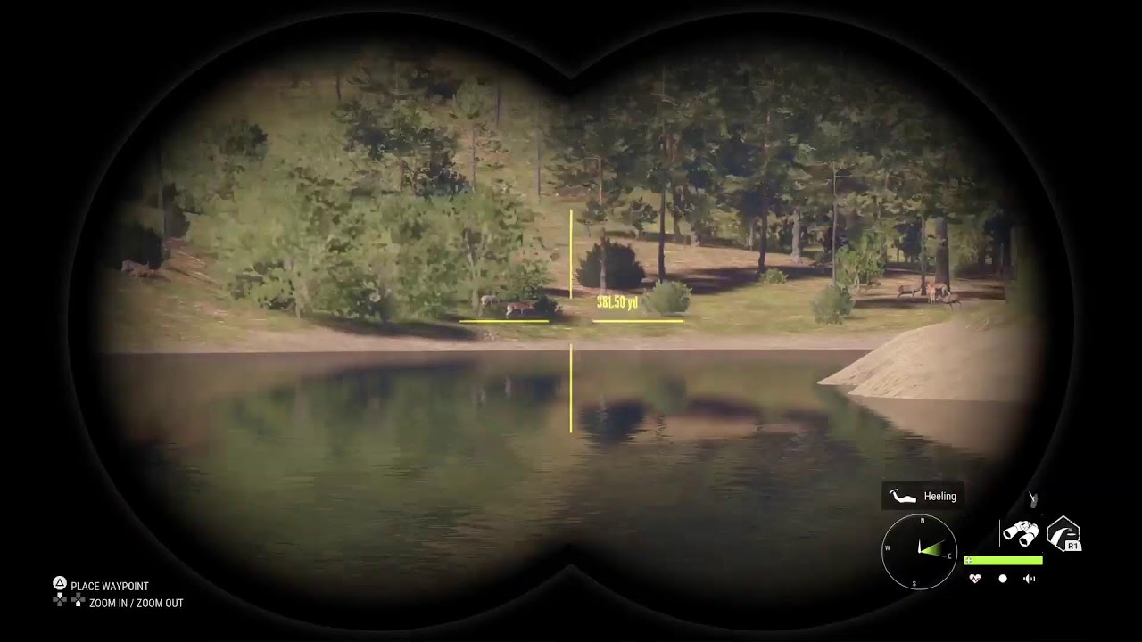 The Hunter: COTW competition Hunting!