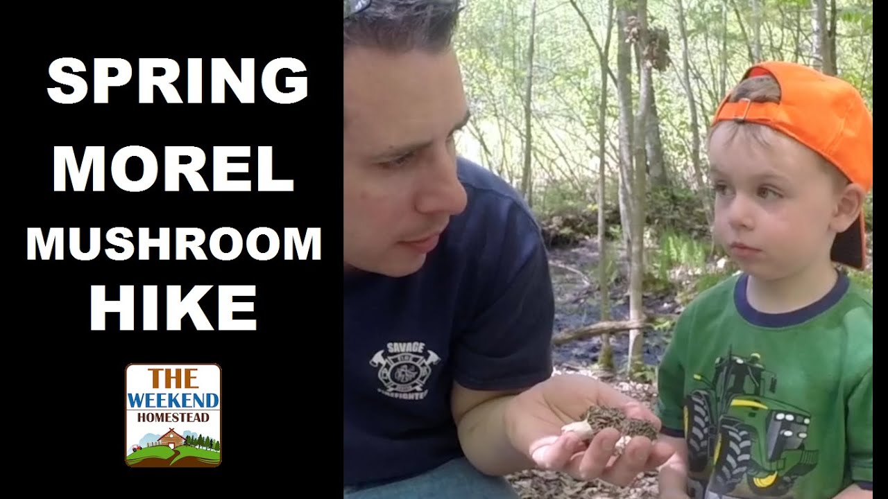 The Homestead Morel Mushroom Hunt