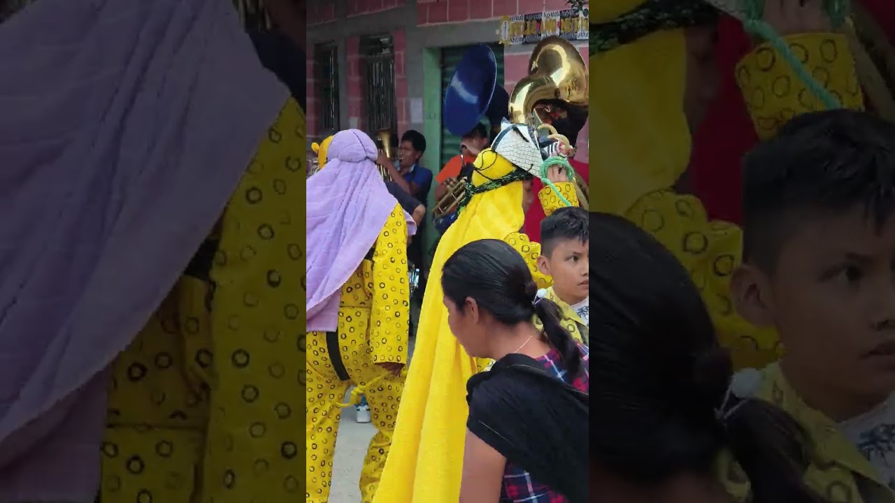 Banda los Pinos en Patlicha en Honor al señor del perdón 2026