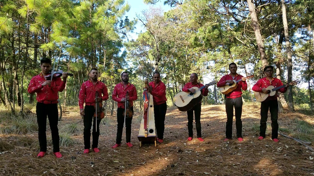 Mariachi Tradicional El Carrizo - Es bonita y es de rancho