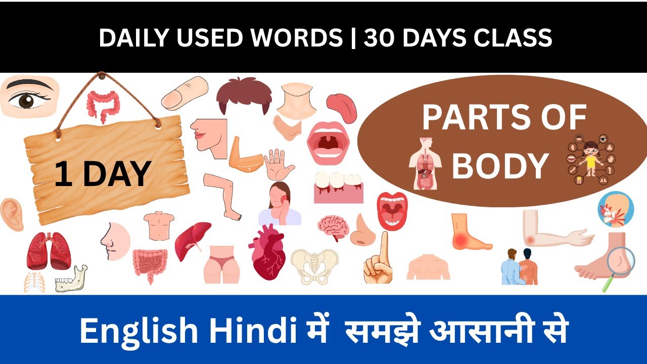 Daily used word 1 day  | Parts of the Body Names in English | Learn Human Body Parts with Pictures