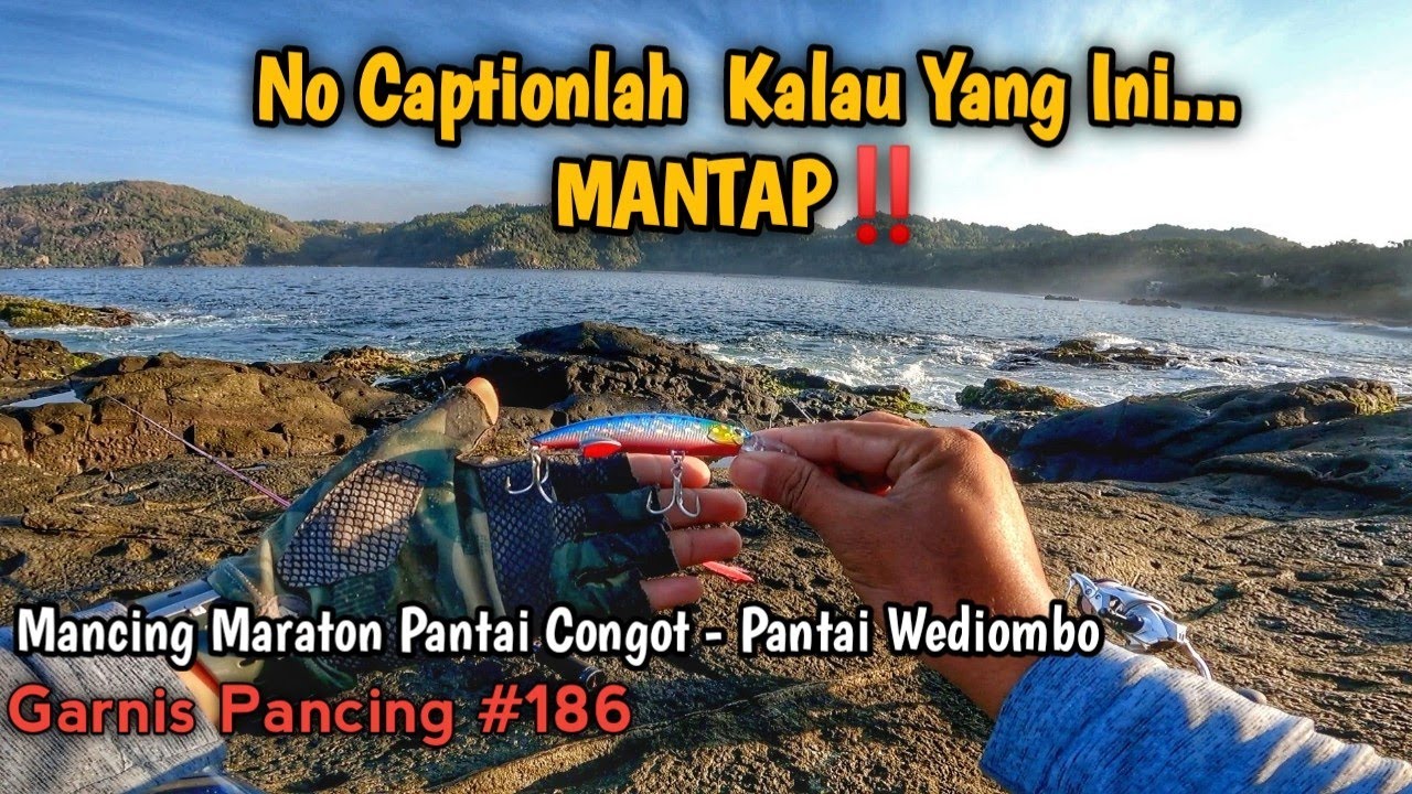 SPOT SUPER INDAH‼️💥IKAN MELIMPAH RUAH | Tengiri, Ikan GT, Sampai Cumi-Cumi‼️Ultra Light Casting #186