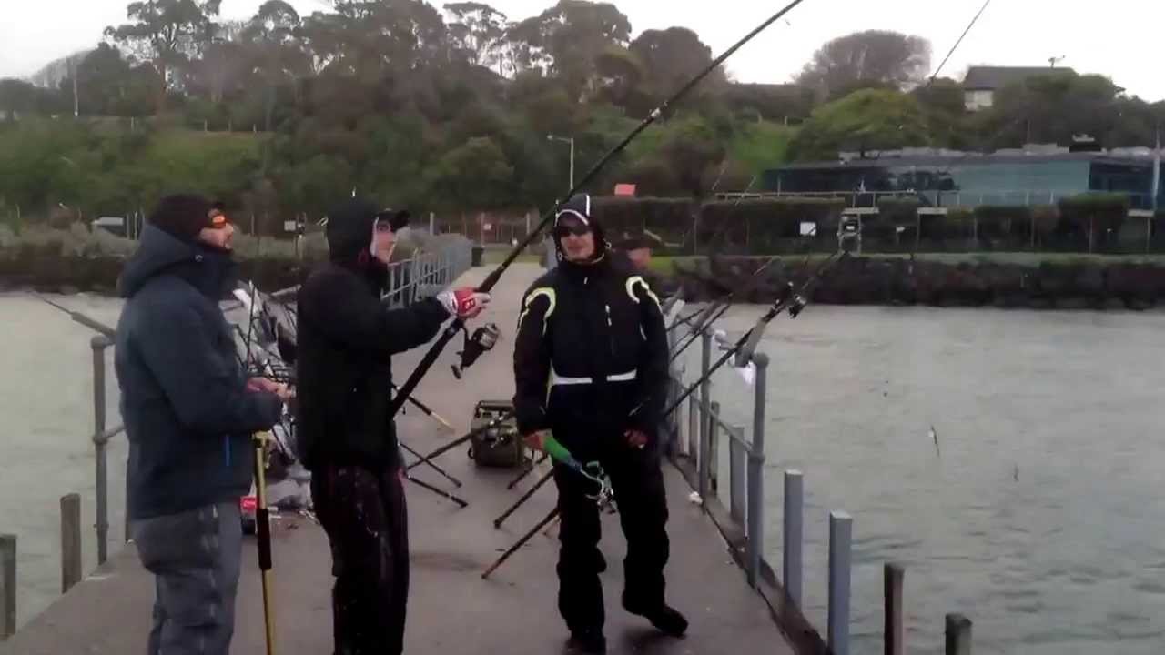 Hooked on to a seven giller part 4 bites the leader