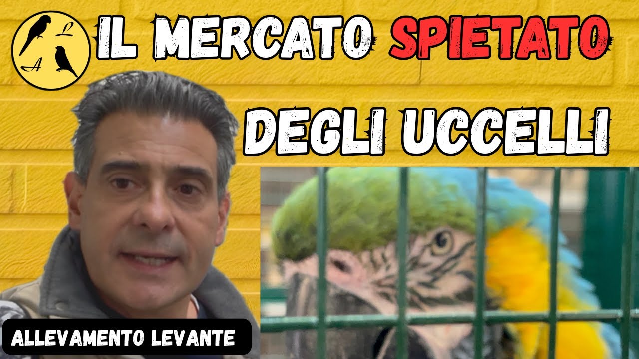 Fiera di Modena: ecco cosa succede davvero lì dentro