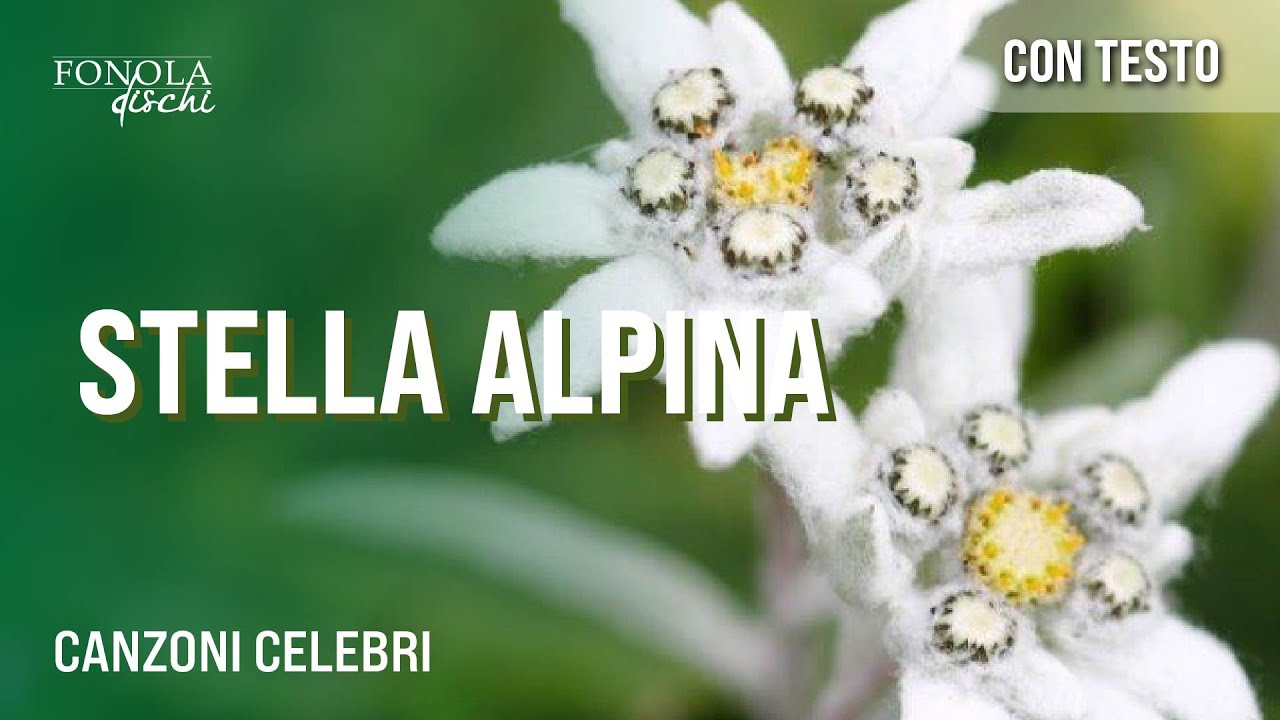 STELLA ALPINA - Canzoni celebri (Video con Testo)