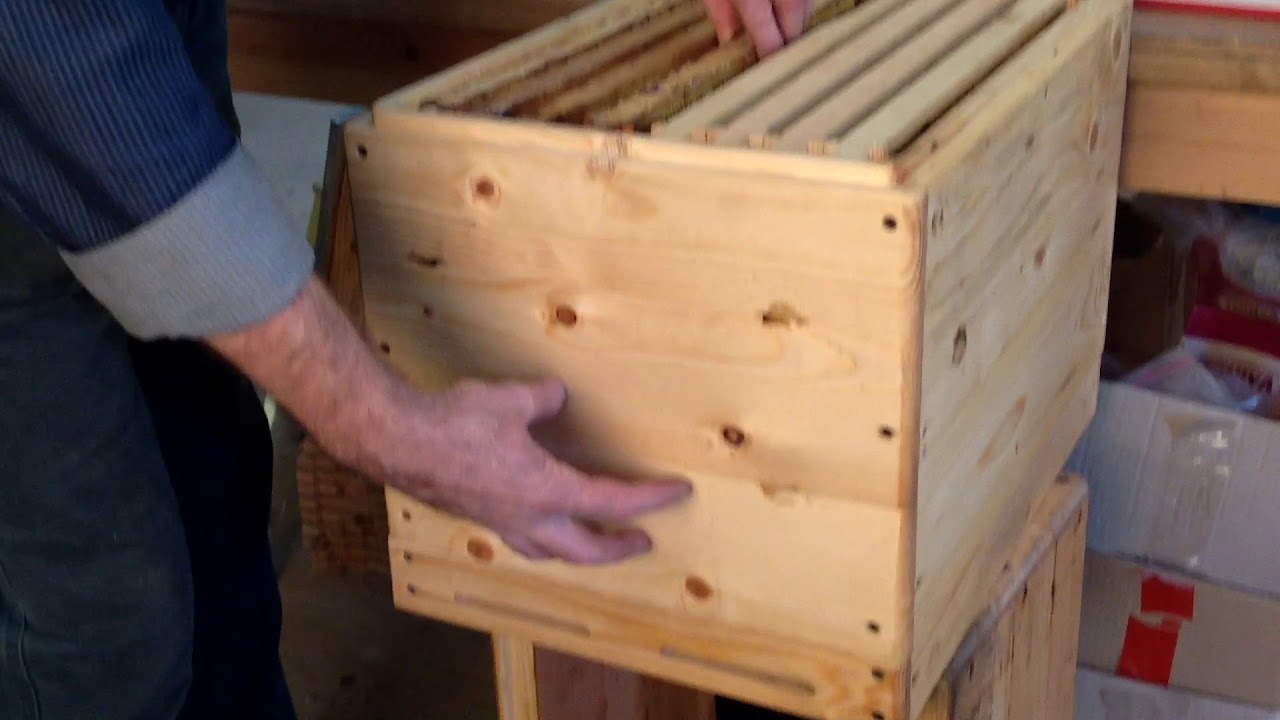 Український корпусний вулик. Beekeeping (04.02.2020р.)