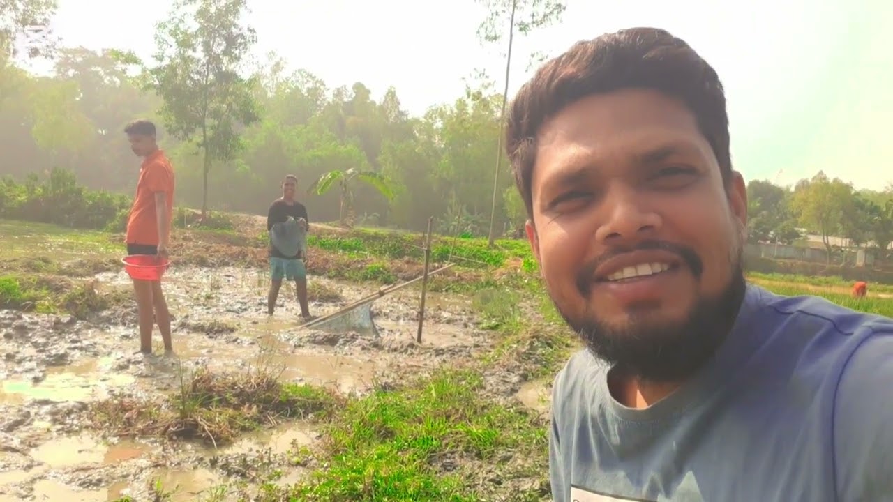 বিলে মাছ ধরার দৃশ্য 