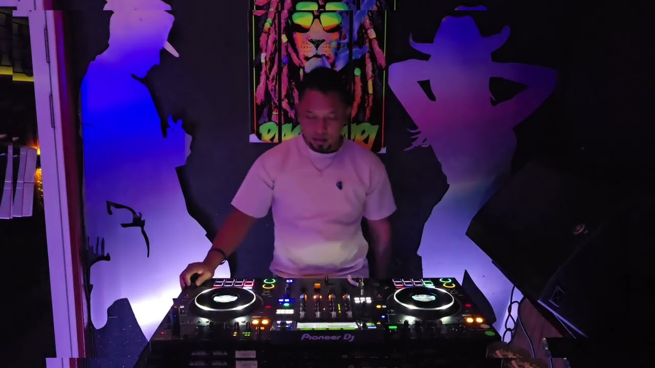 Party mix pt4 || Hindi mixtape