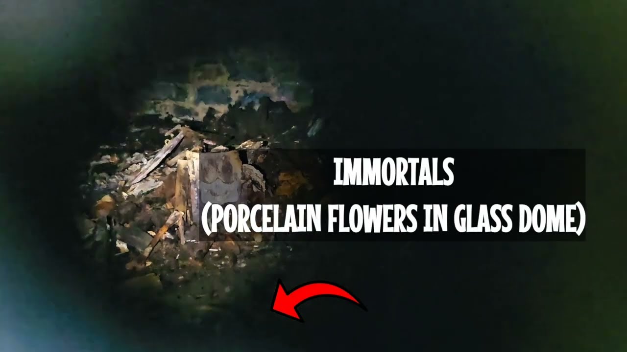 ABANDONED CRYPT! (WARNING THIS VIDEO CONTAINS REAL HUMAN REMAINS)