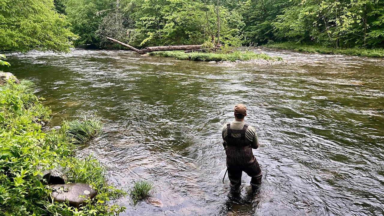 TROUT FISHING CHEROKEE NC (May-2024)