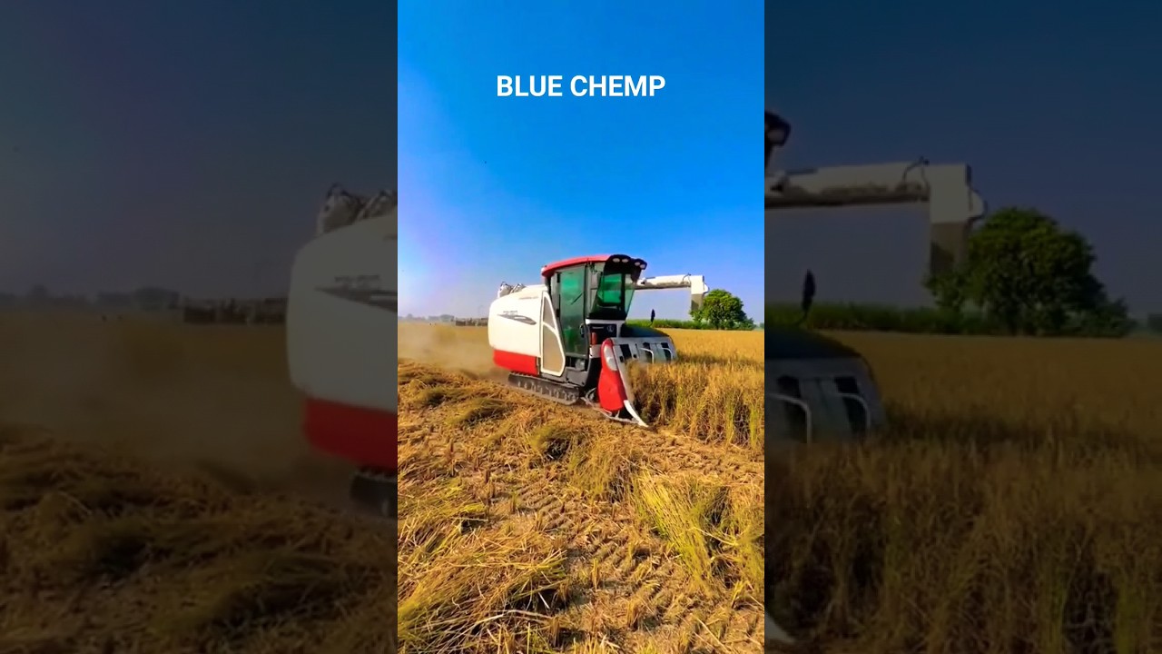 Kubota DR120 harvester #kubota #harvester