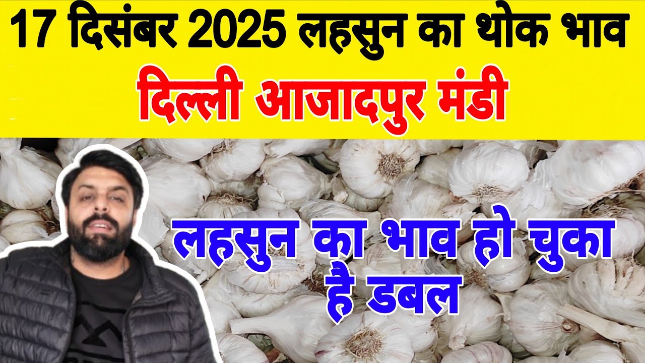 17 Dec 25 | Today Garlic Market Price | Garlic Price The Shocking Prediction #mandirates #garlic