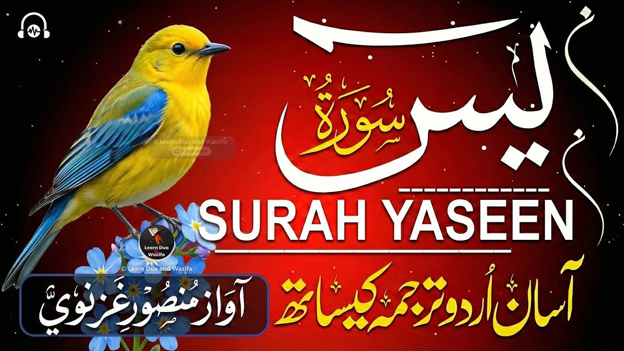 Surah Yaseen Full | Yasin Dua | Surah Rahman, Mulk, Qul Sharif, Ayatul Kursi | Episode - 054