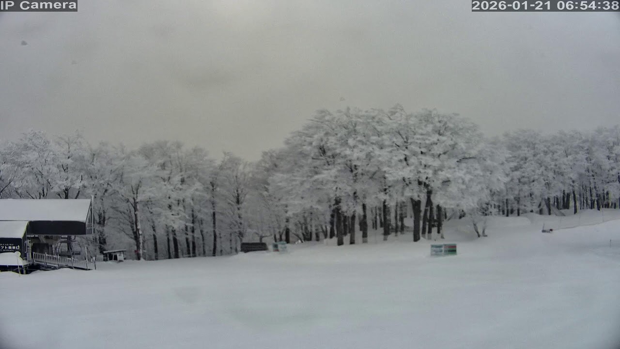 Camera 白馬岩岳マウンテンリゾート - 2026-01-20 16:39