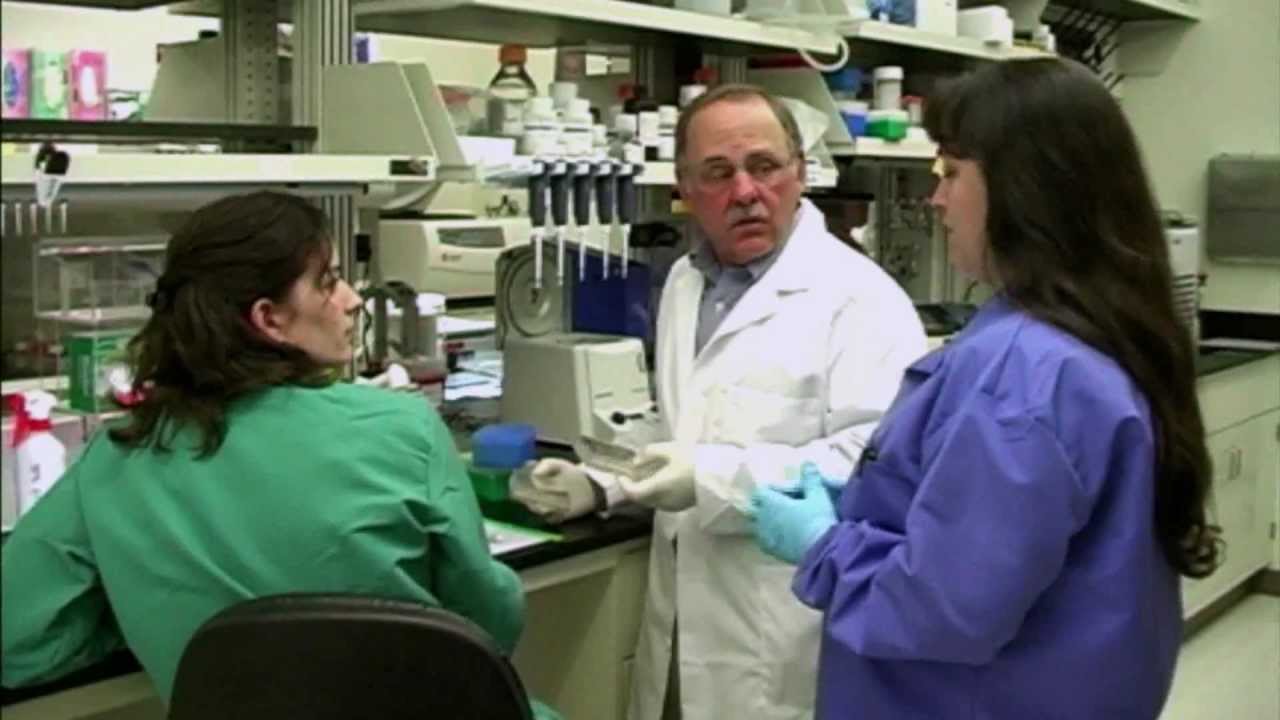 The Integrated Research Facility at NIAID's Rocky Mountain Laboratories