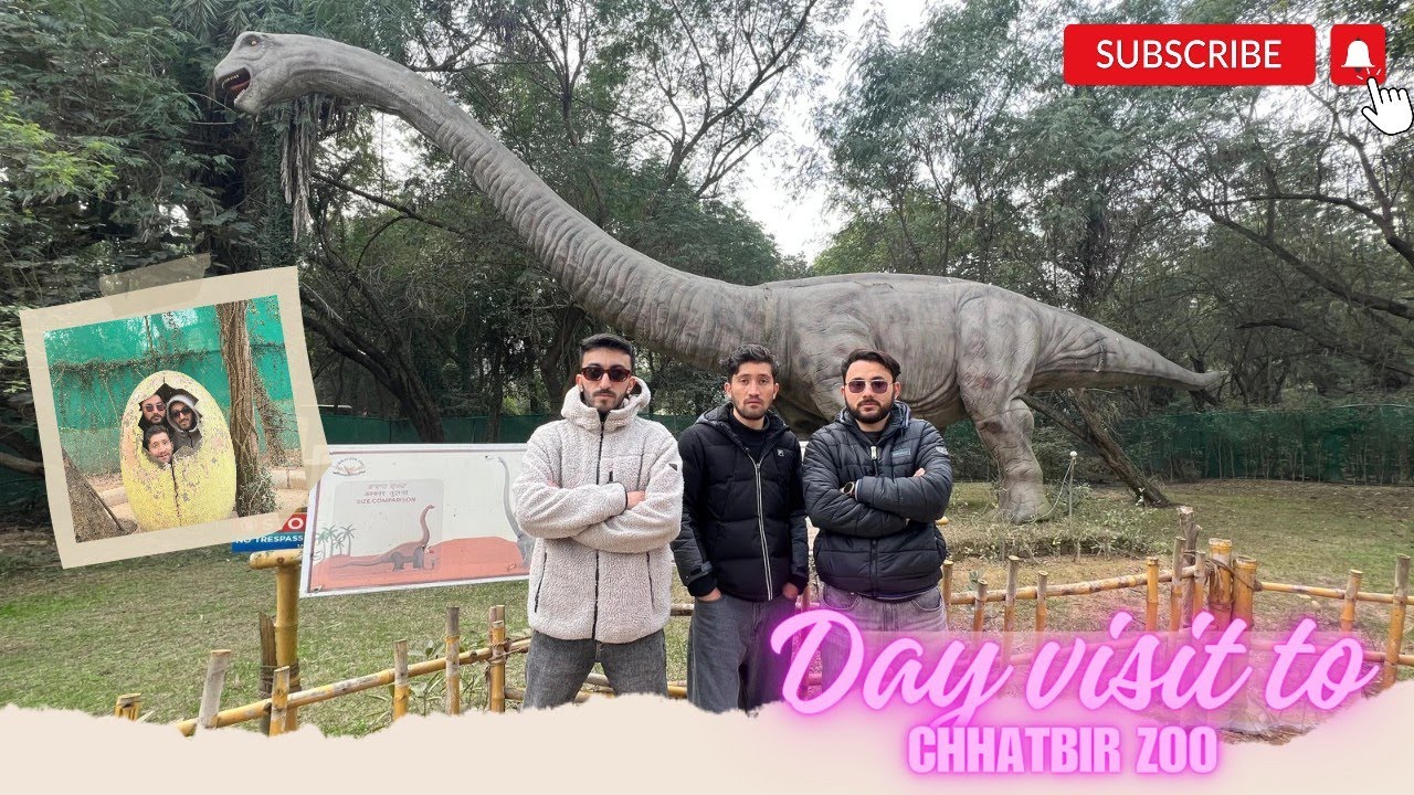 ChattBir Zoo ka safar | Safari Ride Experience with busa sum