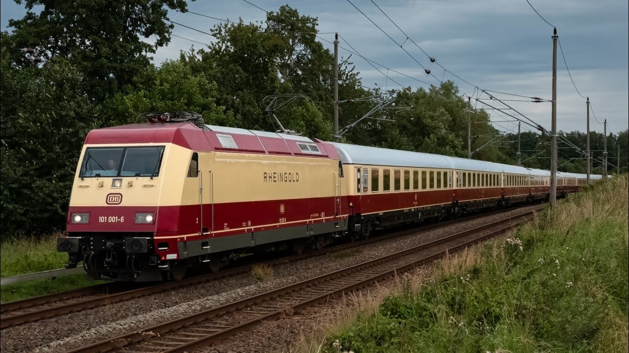 Rheingold, BR 114, Werbe 101er sowie Bahnverkehr um Rostock und auf Rügen