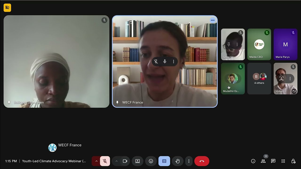 Youth-Led Climate Advocacy Webinar – AU–EU Youth Action Lab – Voices Unheard from Pyrenees to Kibera