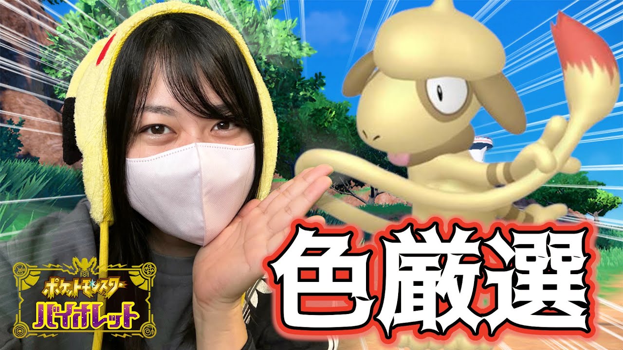 【色厳選】2/14バレンタインに色ドーブル配布する準備！【ポケモンSV】