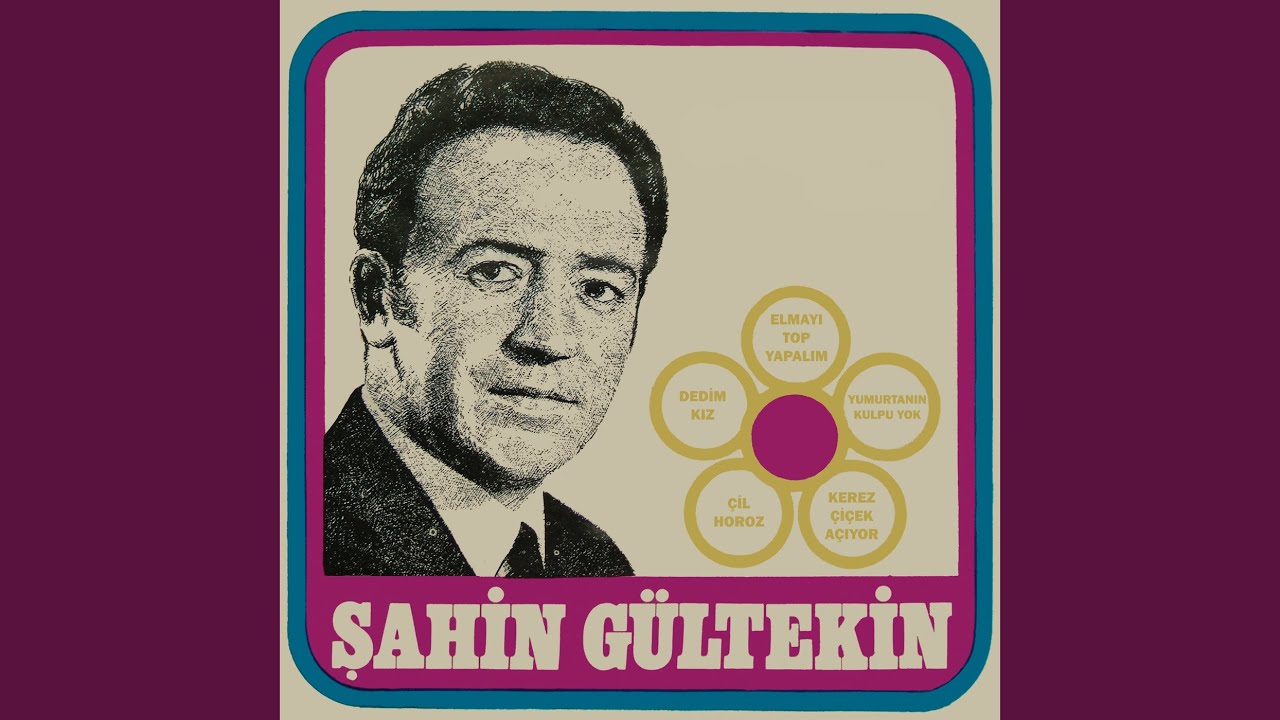 Dedim Kiz (Olmaz Olmaz)