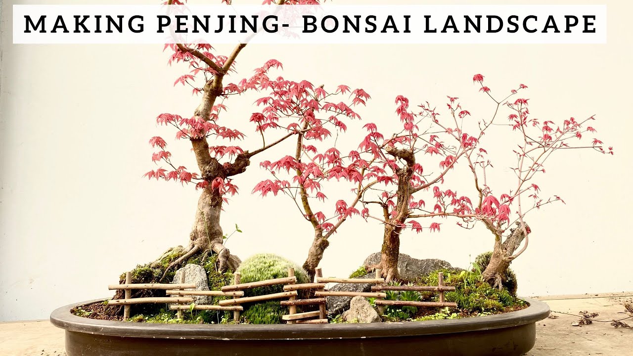 Making Penjing - Bonsai Landscape