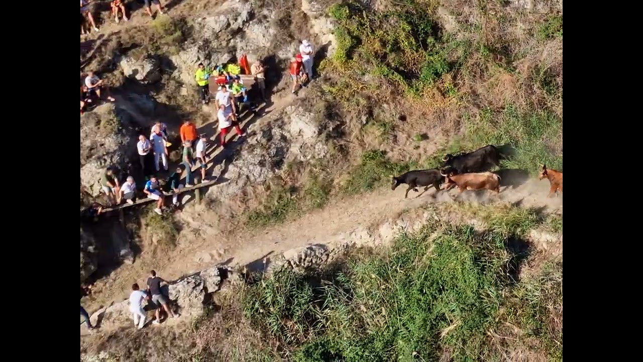 herido en el &uacute;ltimo pil&oacute;n de falces 2023
