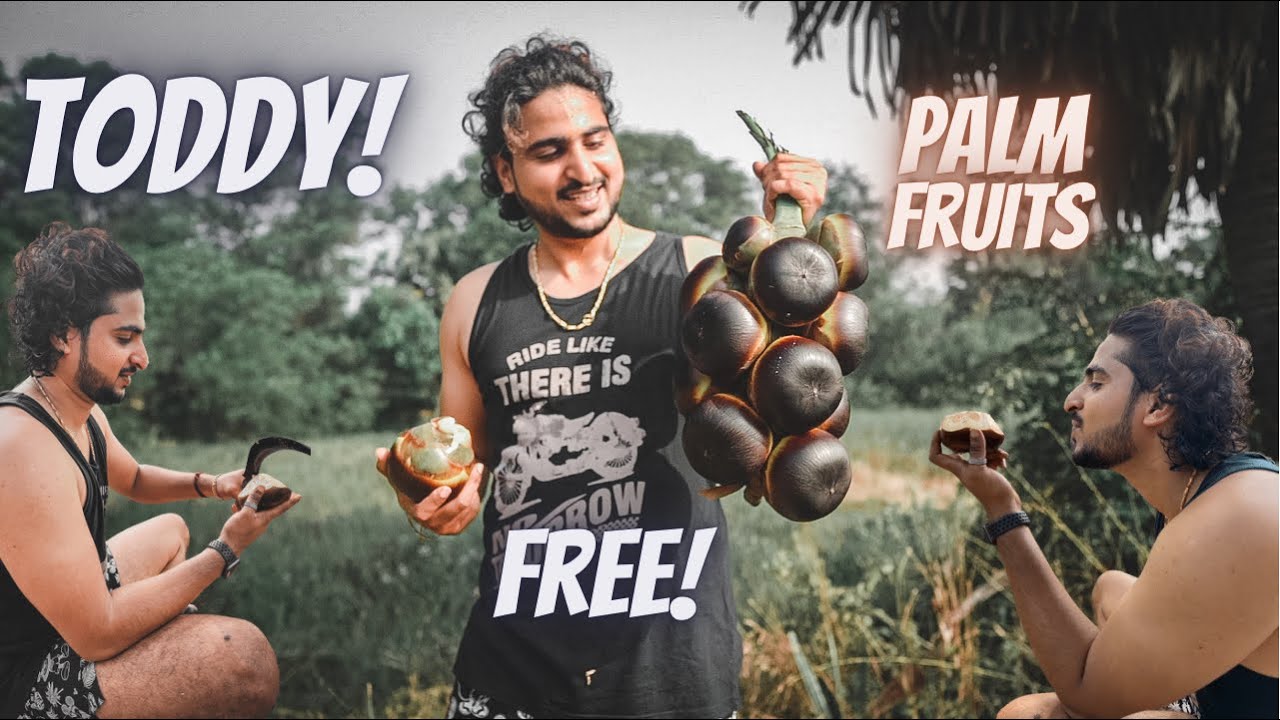 Toddy Palm Fruits from my hometown 😍