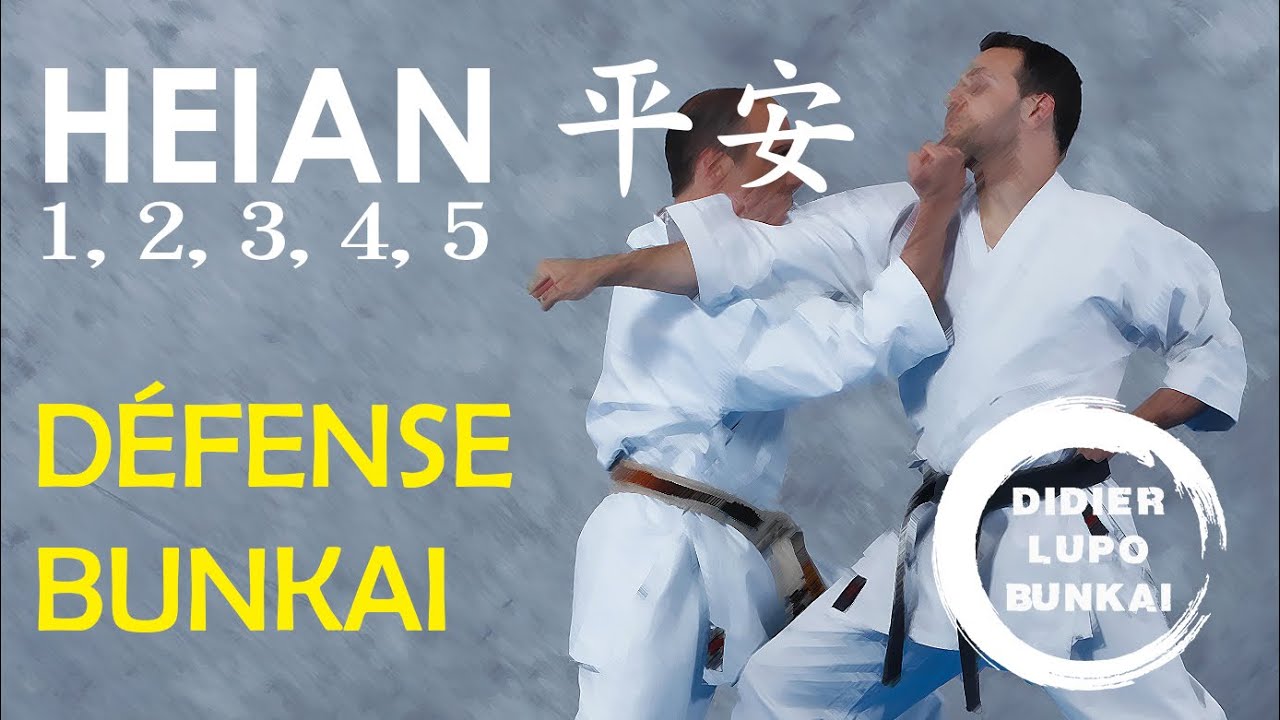 LES 5 HEIAN Défense et Bunkaï par Didier Lupo