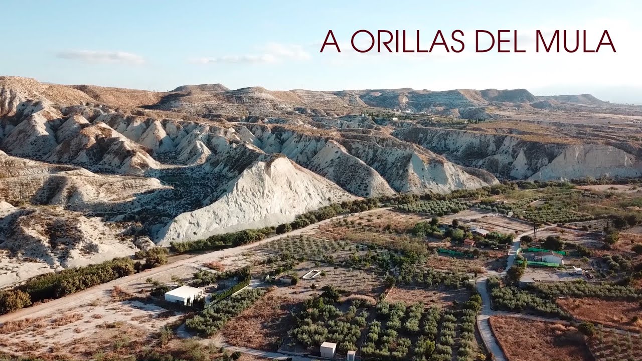 A orillas del río Mula. Panorámicas aéreas de Campos del Río y Albudeite (Región de Murcia)