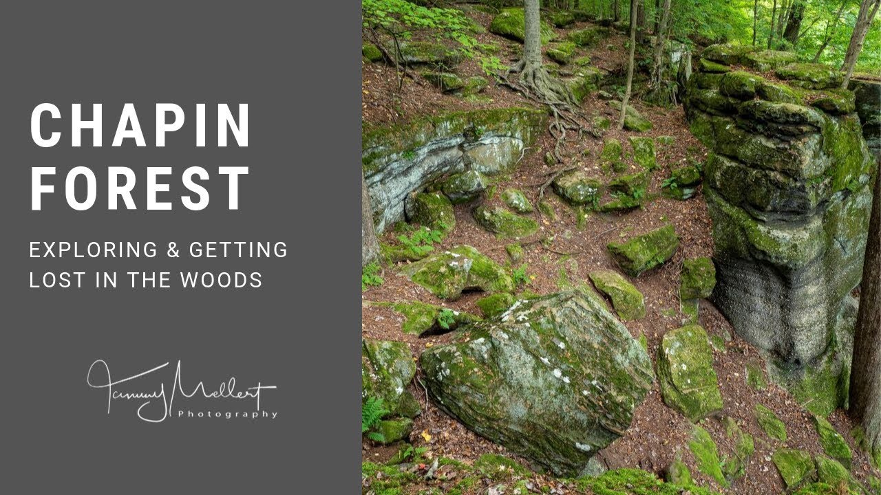Landscape Photography | Chapin Forest Walk:  Exploring and Getting Lost In The Woods!!