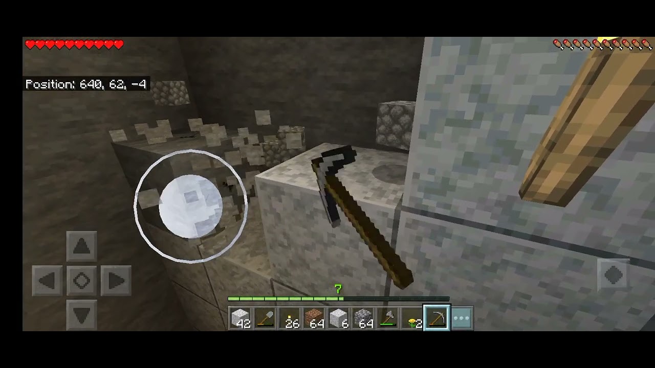Day 7 Playing Minecraft in Dei