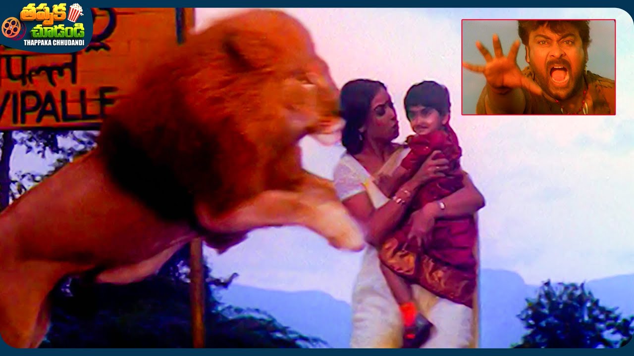 Chiranjeevi And Simran Emotional Telugu Movie Scene | @ThappakaChudandi9
