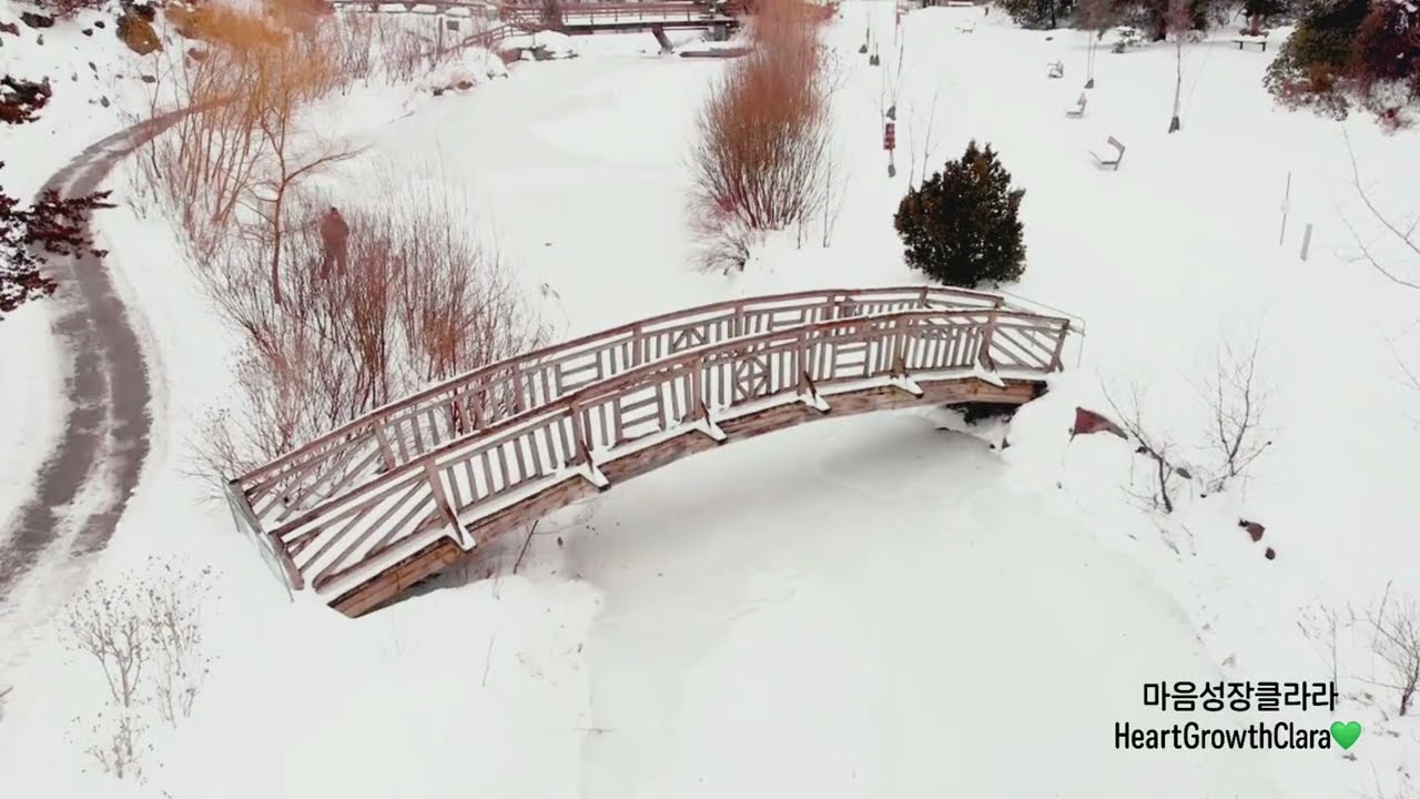 조용히 흐르는 겨울 오후의 위로 45분💚 | Comforting Sounds for a Calm Winter Afternoon 45min💚