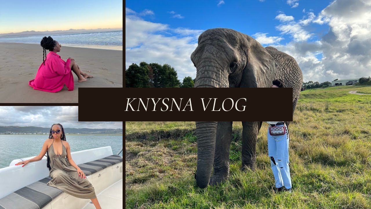 KNYSNA #travel VLOG: elephant park, zip lining, spa, just fun |#friends