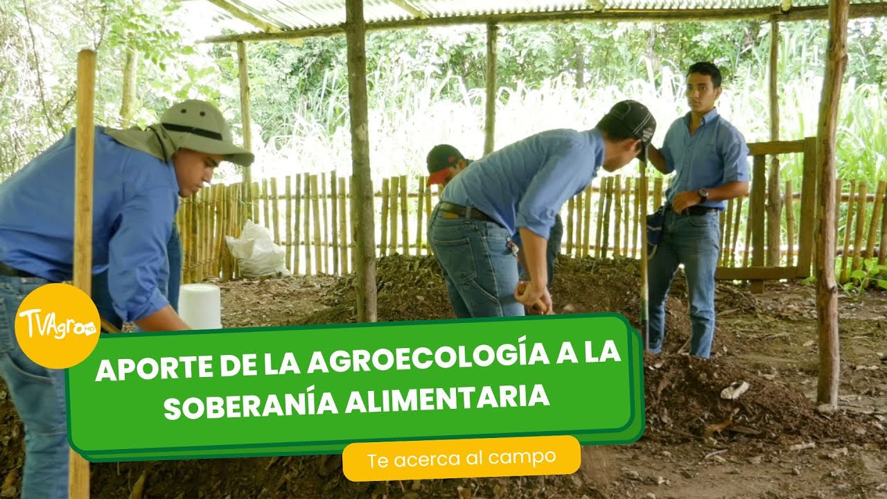 Aporte de la agroecolog&iacute;a a la soberan&iacute;a alimentaria- TvAgro por Juan Gonzalo Angel Restrepo